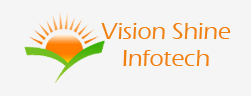 Vision Shine Infotech